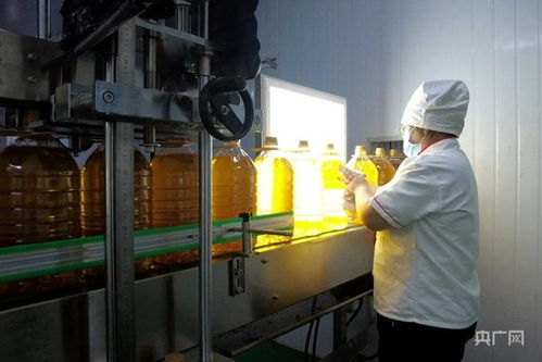 揚優(yōu)勢補短板強弱項新疆糧油產(chǎn)業(yè)快速發(fā)展