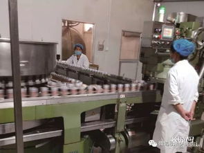 君樂寶 企美 核磨坊 這些河北的農企,都在為這個目標持續努力