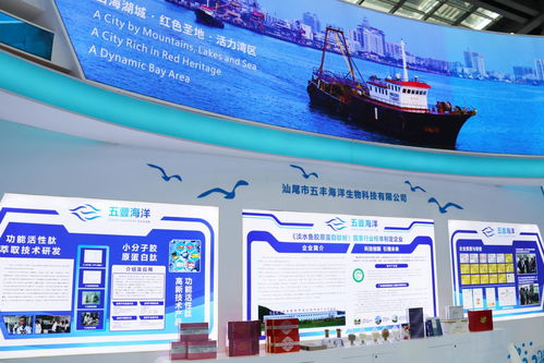 向海圖強(qiáng)，攜手繪就藍(lán)色發(fā)展新畫卷——深圳汕尾合作助推海洋經(jīng)濟(jì)高質(zhì)量發(fā)展